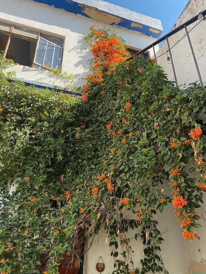 Casita Hostel Guadalajara Mexico
