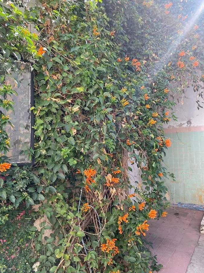 Casita Hostel Guadalajara