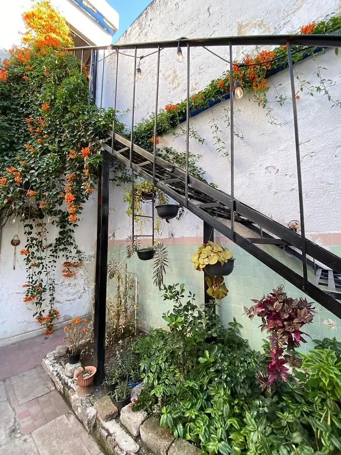 Casita Hostel Guadalajara 0*,  Mexico