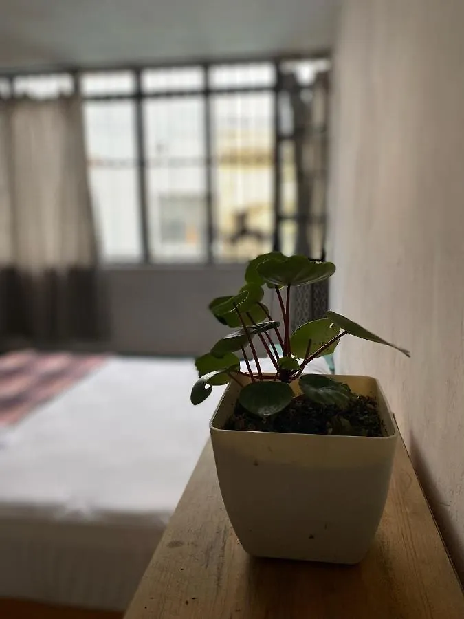 Casita Hostel Guadalajara